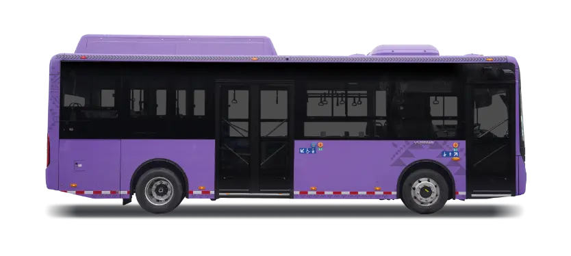 E9(ZK6890BEVG)