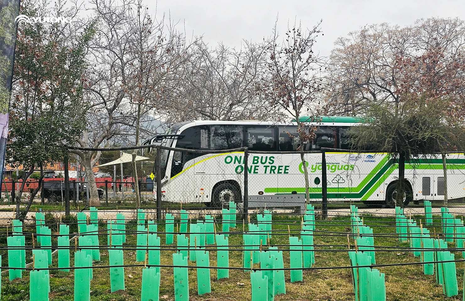 Yutong pone en marcha el programa «Net Zero Forest» para 2026: llevando 44.218 árboles a Gansu en la primera fase Yutong pone en marcha el programa «Net Zero Forest» para 2026: llevando 44.218 árboles a Gansu en la primera fase