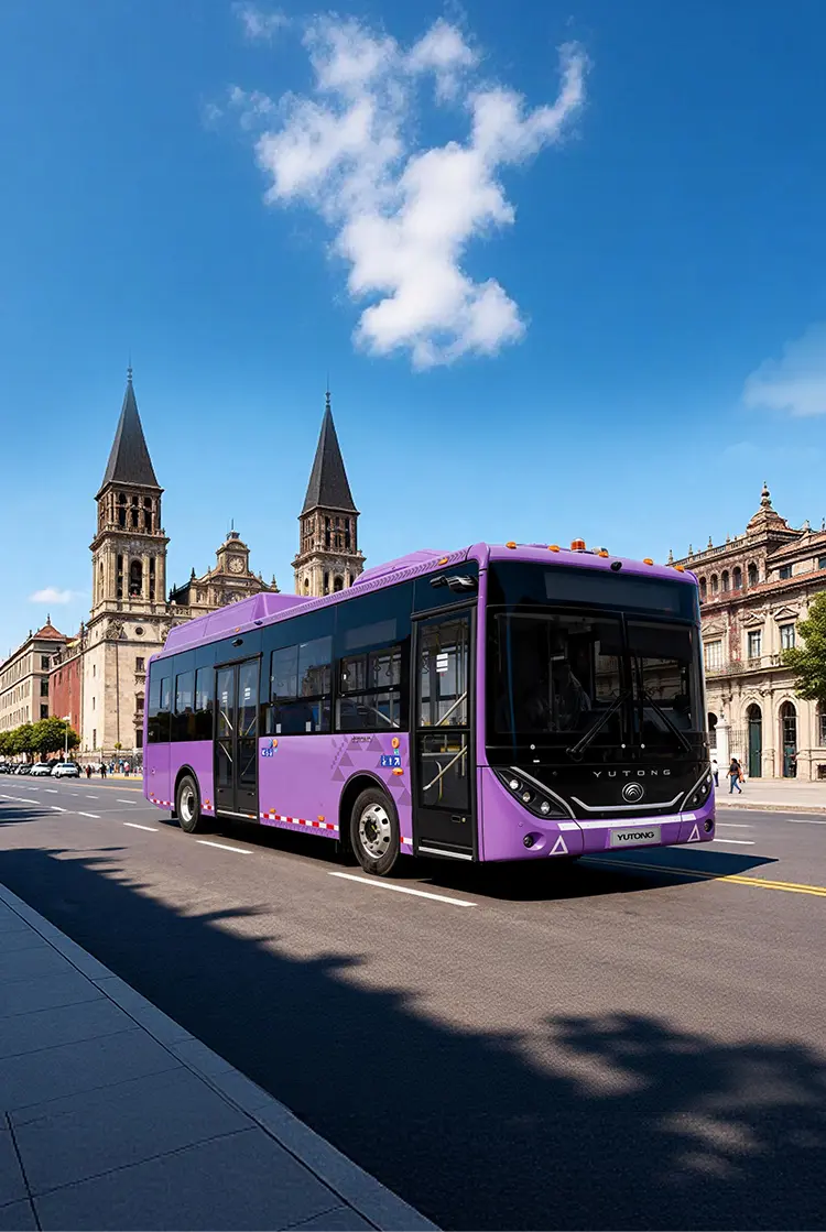 E9(ZK6890BEVG)