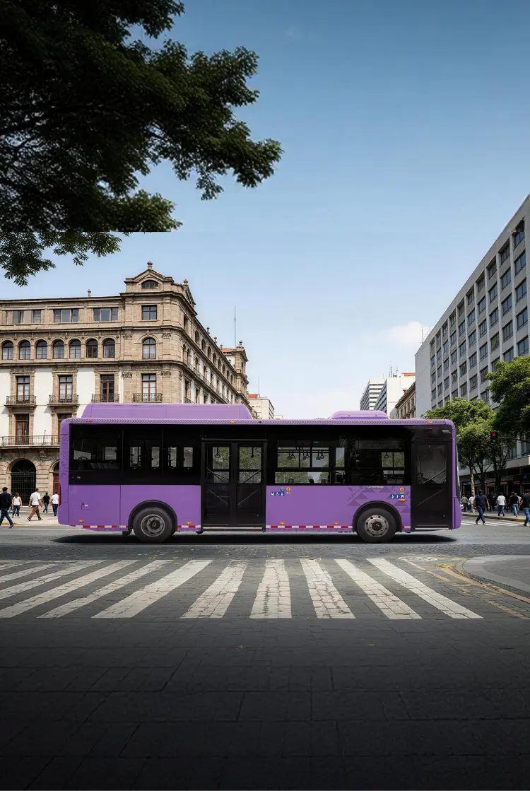 E9(ZK6890BEVG)