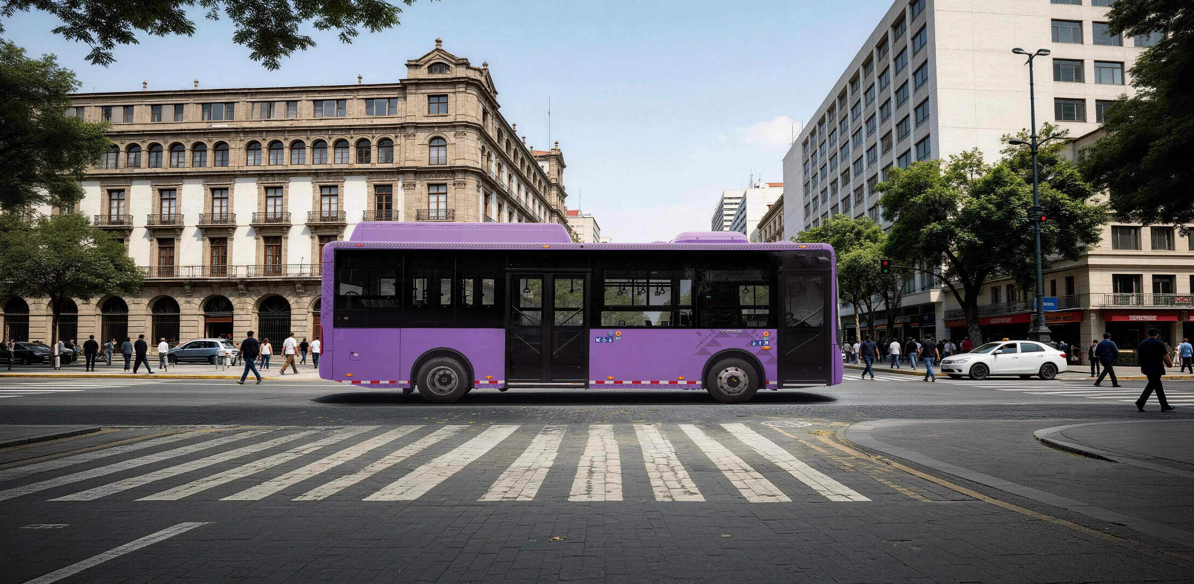 E9(ZK6890BEVG)